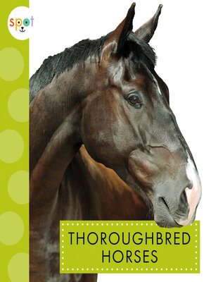 cover image of Thoroughbred Horses